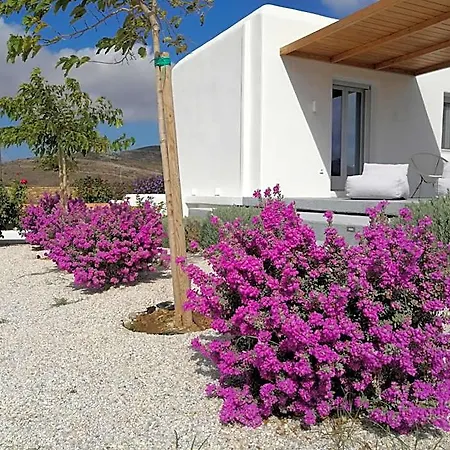 Xerolithos Natural Living Hotel Naxos City